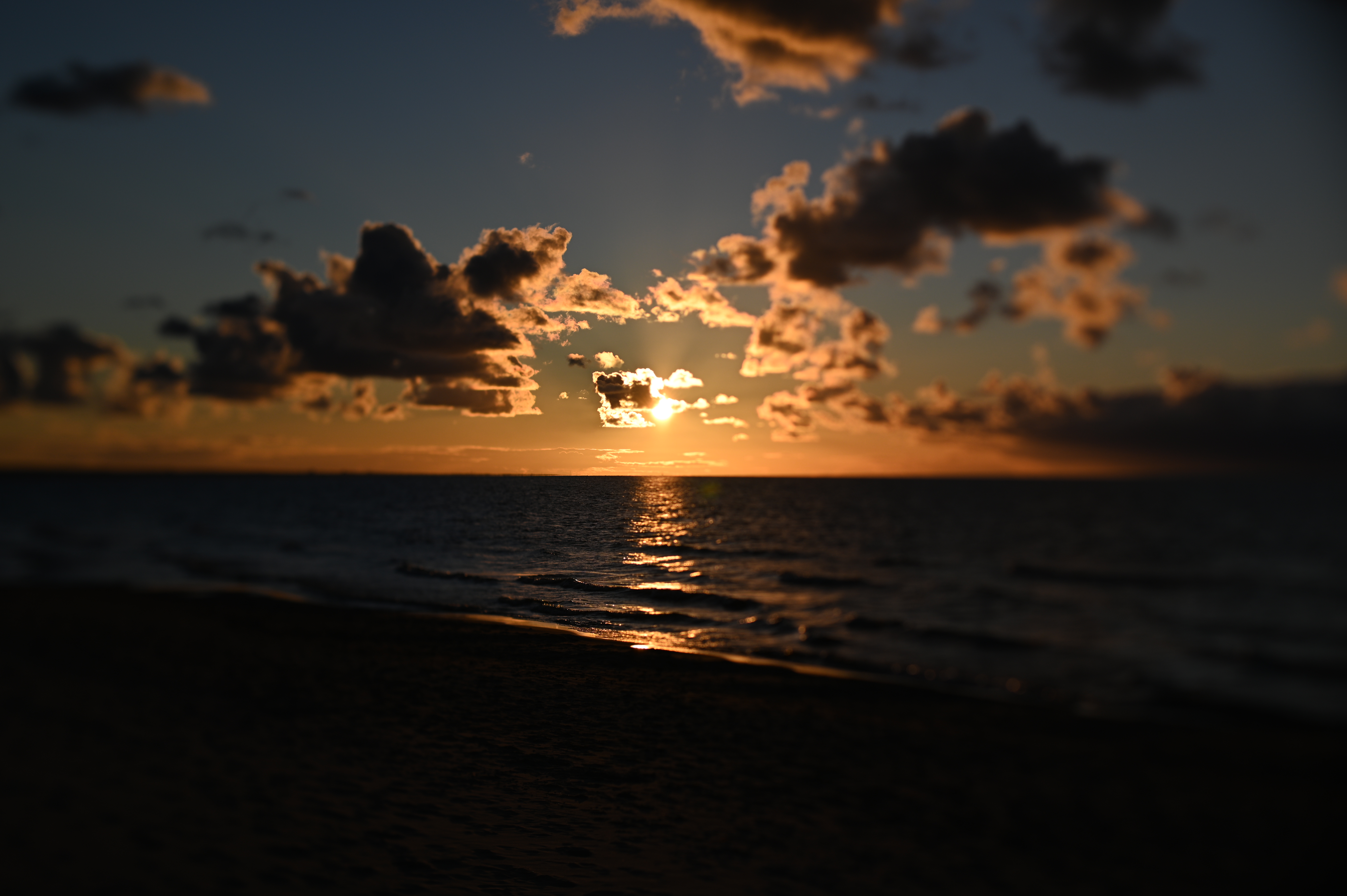 2025/10/18 - walk/DSC_0346.JPG